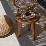 Opuntia Villa