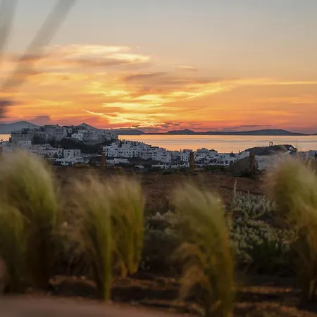 Opuntia Βίλα Naxos City