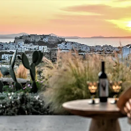 Opuntia Βίλα Naxos City